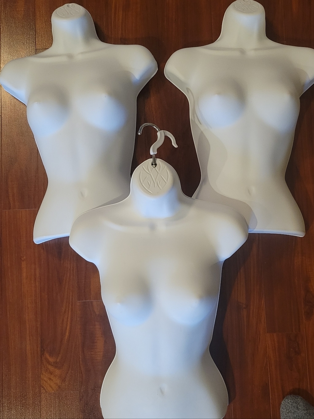 Female Torso Mannequin